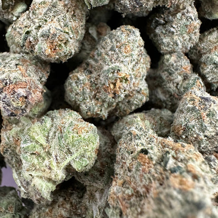 Neon Nights Exotic THCa Flower 3.5g 🟢 Hybrid