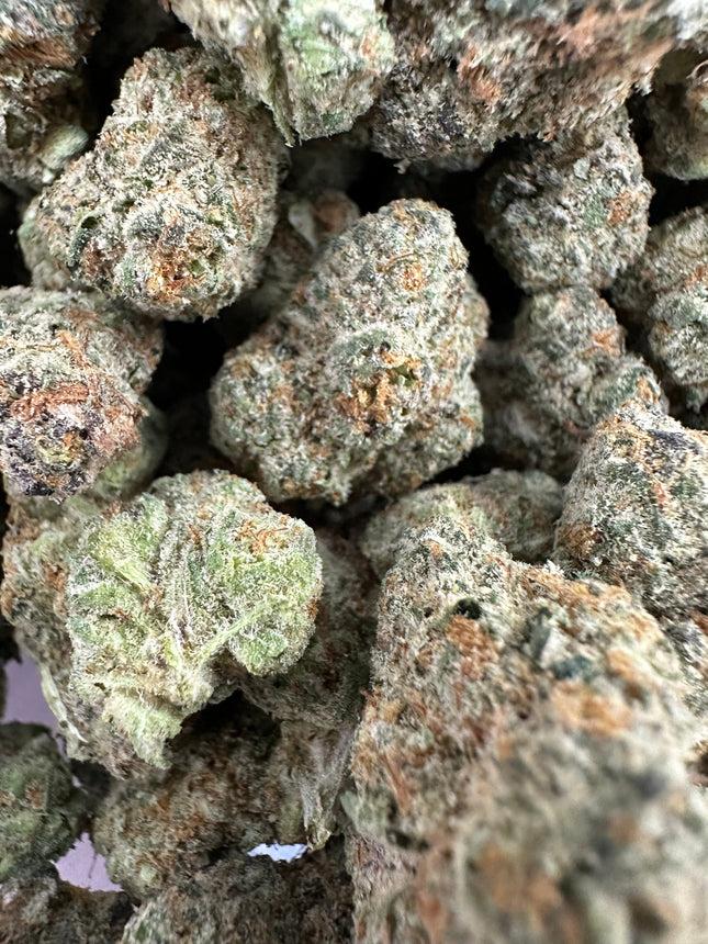 Neon Nights Exotic THCa Flower 3.5g 🟢 Hybrid