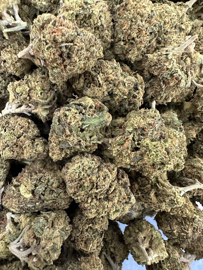 Gorilla Glue THCa Flower Exotic Hybrid 10g