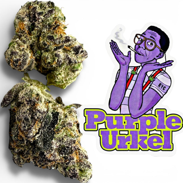 Purple Urkle THCA Flower Exotic 🟣 Indica 14g