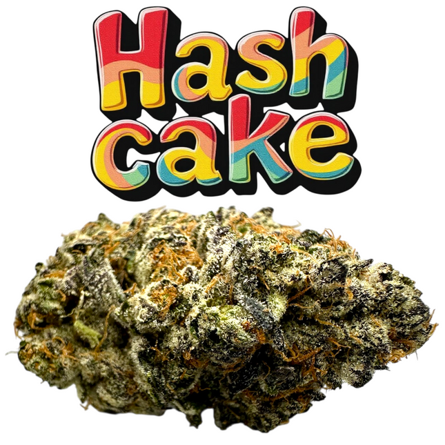XL Hash Cake Exotic Indica THCa Flower 10g Jar 29%