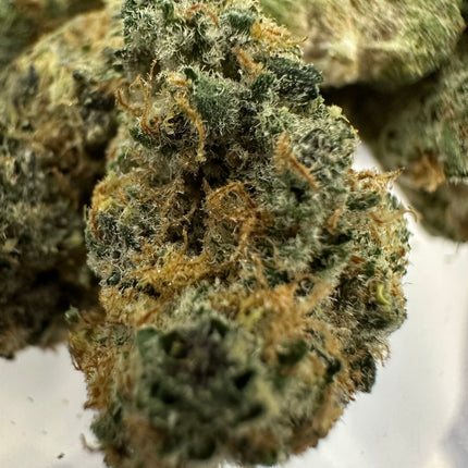 Zangria Exotic THCa Flower 3.5g 🟢 Hybrid