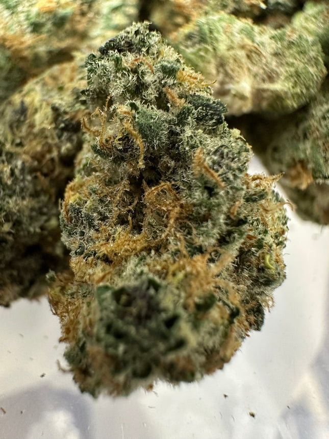 Zangria Exotic THCa Flower 3.5g 🟢 Hybrid