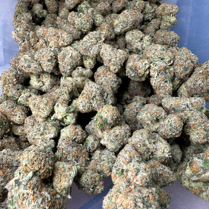 Grid Lock Exotic THCa Flower 10g Jar Indica