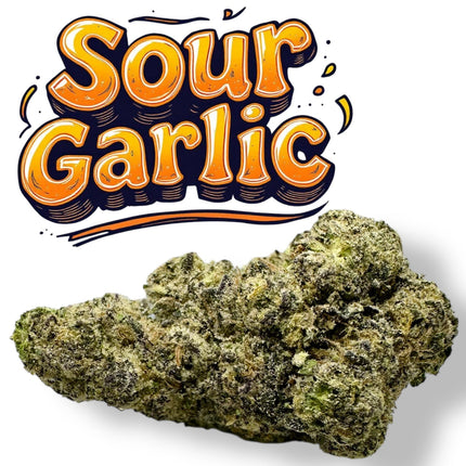 Sour Garlic Exotic THCa Flower Hybrid 10g