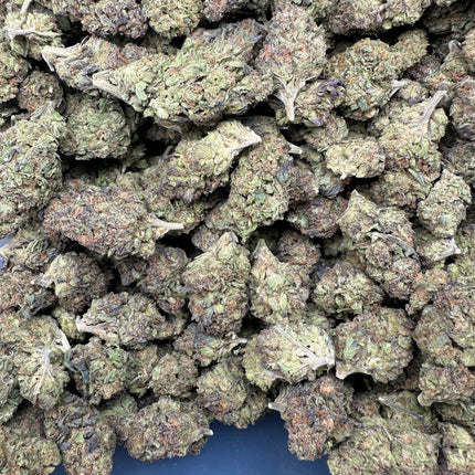 Wicked Alien Cookies THCa Flower Exotic Indica 10g