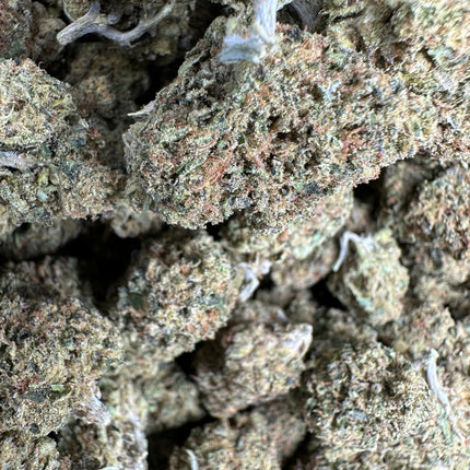 Gorilla Glue THCa Flower Exotic Hybrid 10g