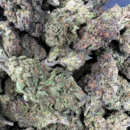 Wicked Alien Cookies THCa Flower Exotic Indica 10g
