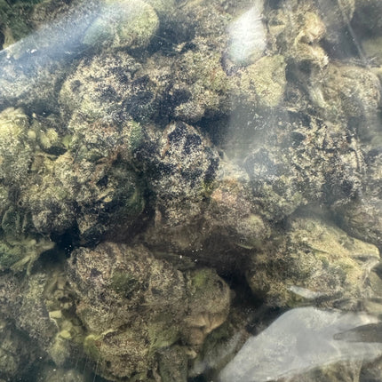 Purple Urkle THCA Flower Exotic 🟣 Indica 14g