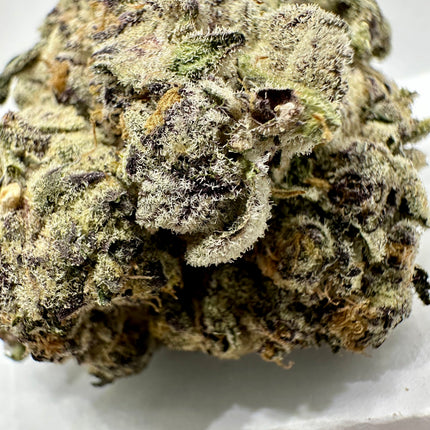 Sugaree Kush Exotic Sativa THCa Flower 10g Jar Hybrid 32% QP