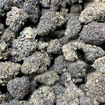 Watermelon Zkittlez THCa Flower Indica 10g 🟣