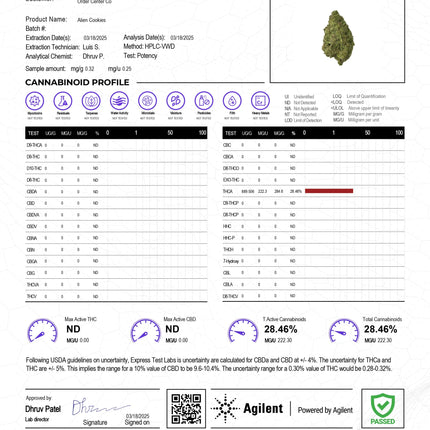 Wicked Alien Cookies THCa Flower Exotic Indica 10g