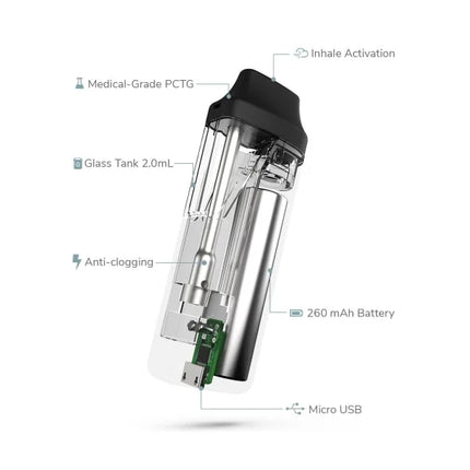 Skywalker OG THC Vape Pen 2g Disposable
